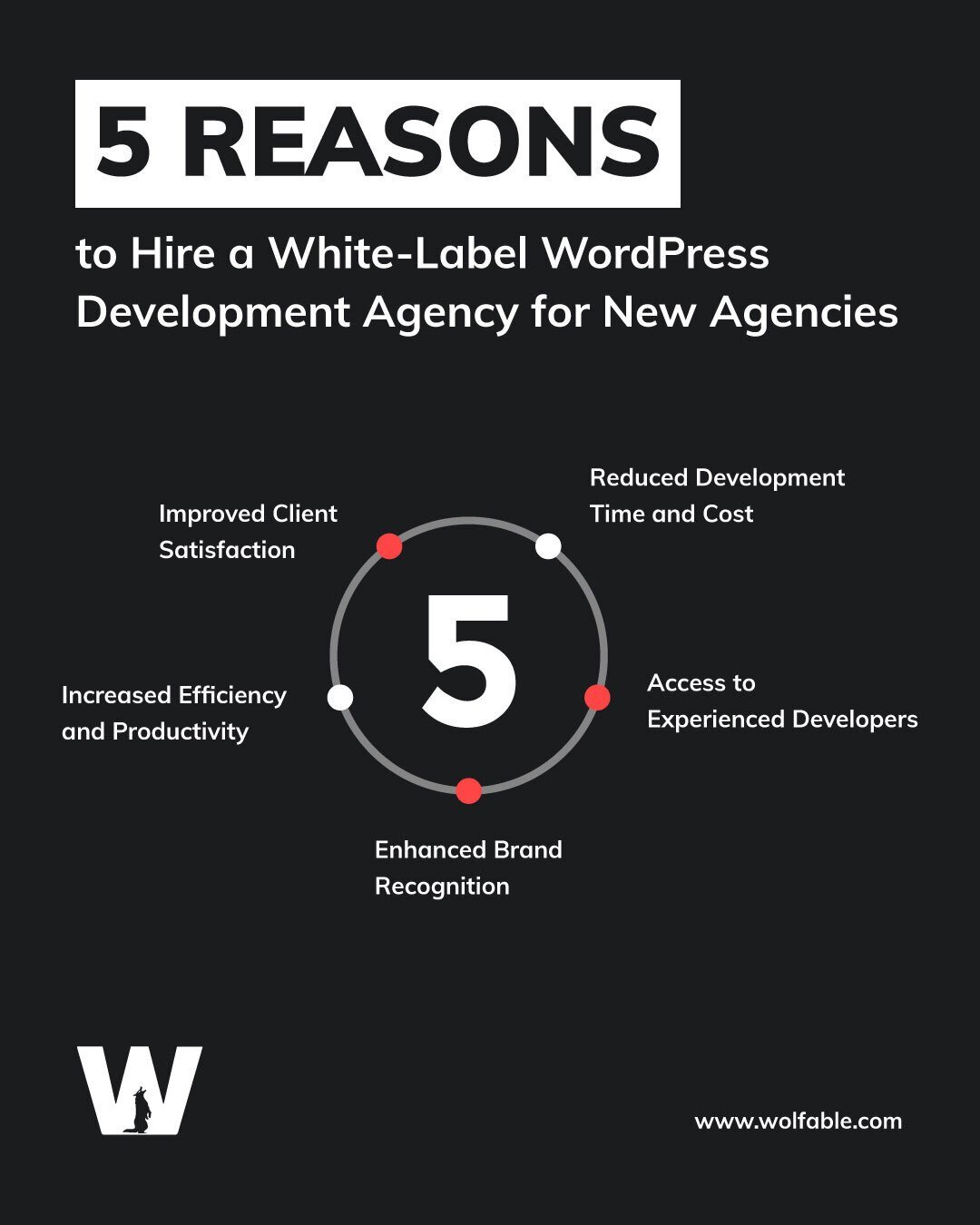 5-Reasons-to-Hire-a-White-Label-WordPress-Development-Agency-for-New-Agencies