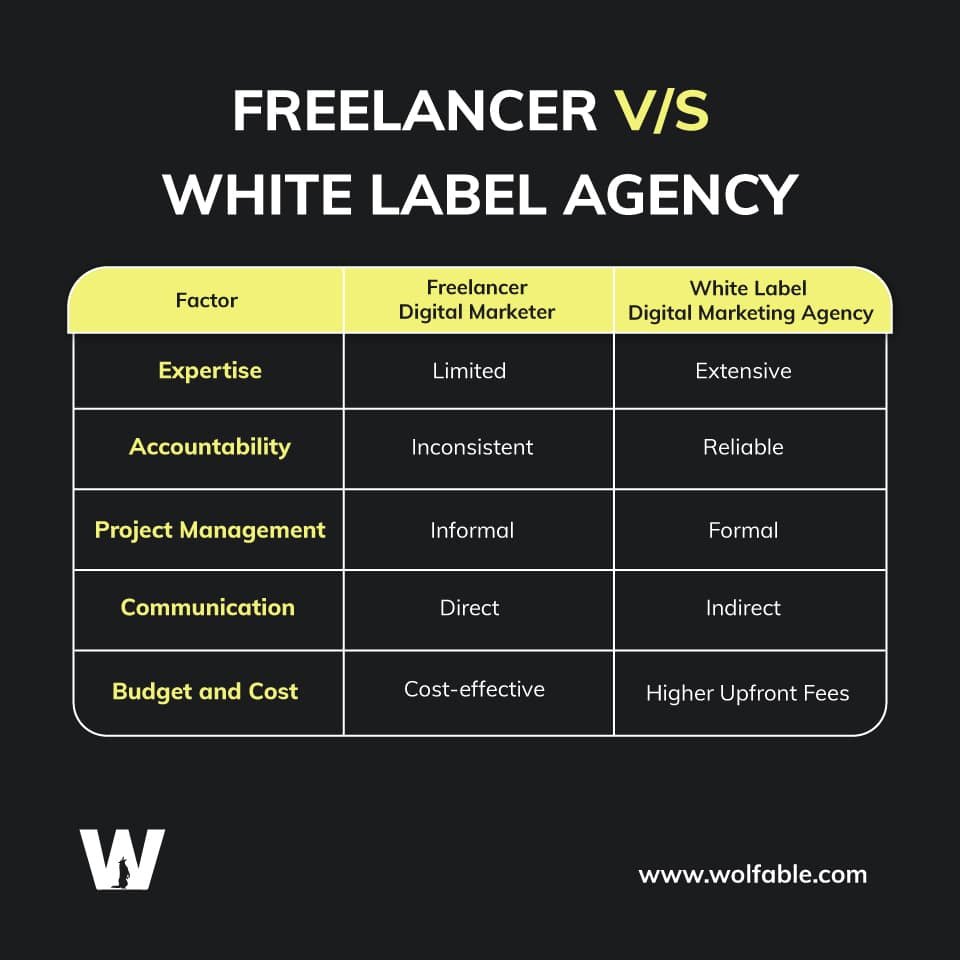 Freelancer VS White Label Agency