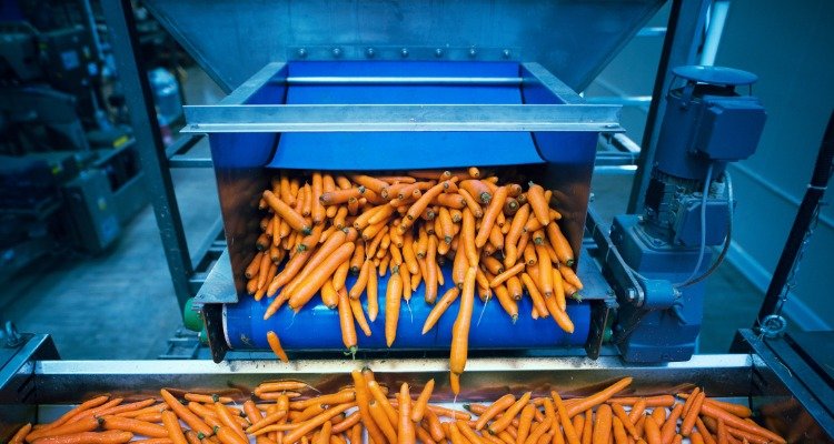 Food Processing Digital Marketing Strategies by Wolfable