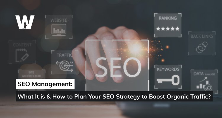 SEO Management: What It is & How to Plan Your SEO Strategy to Boost Organic Traffic?