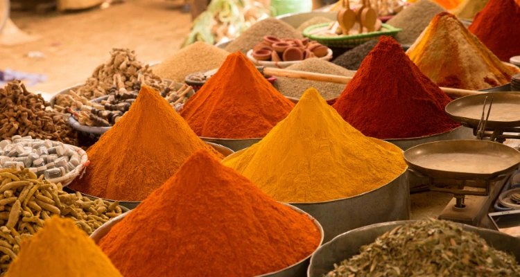 Digital Marketing for Spices Manufacturer - Wolfable