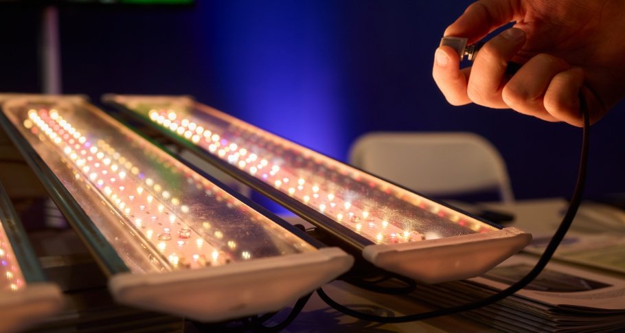 Digital Marketing for LED Manufacturers